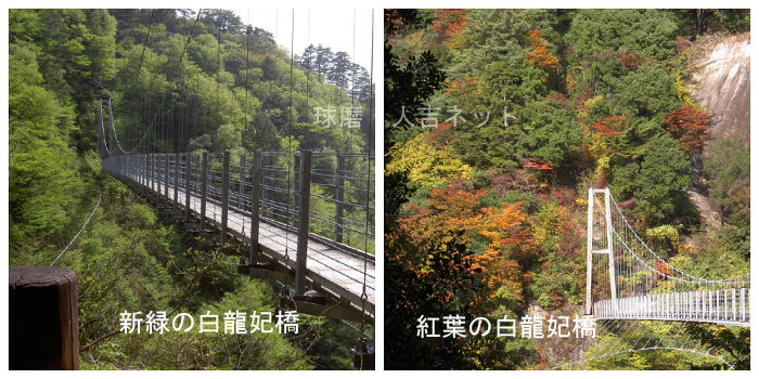 白龍妃橋の新緑と紅葉　