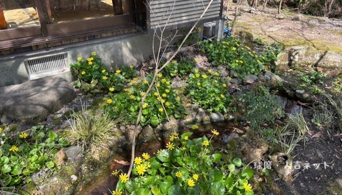 ランチの店　さく羅　宇土市