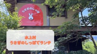 うさぎのしっぽ　ランチ　水上村